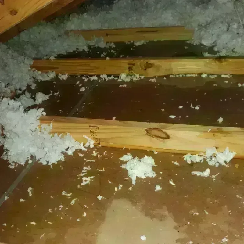 Attic Water Damage in Mertzon, TX